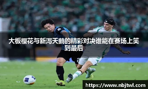 大板樱花与新泻天鹅的精彩对决谁能在赛场上笑到最后