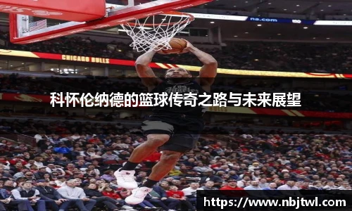 球速体育手机下载